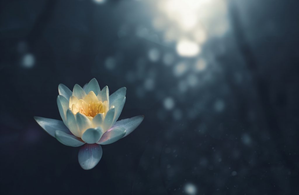 new moon meditation